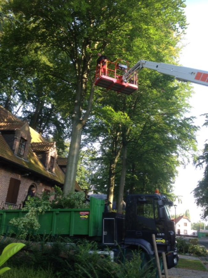 Boomverzorger in de kruin met een hoogtewerker