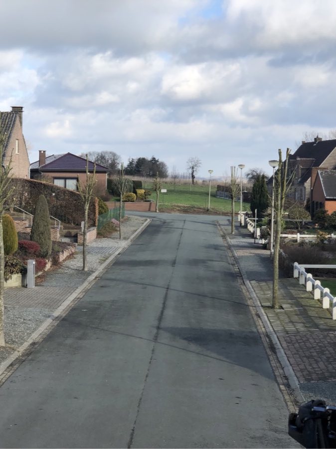 Onderhoud van straatbomen