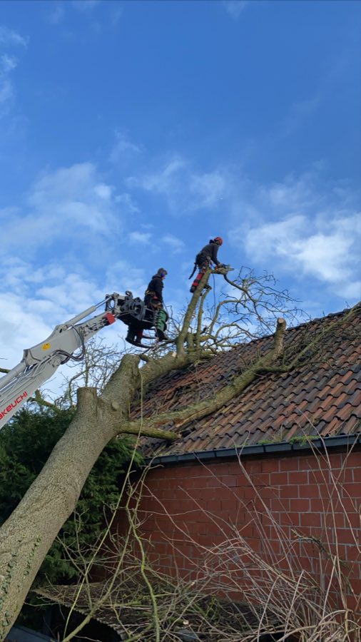 Stormschade opruimen