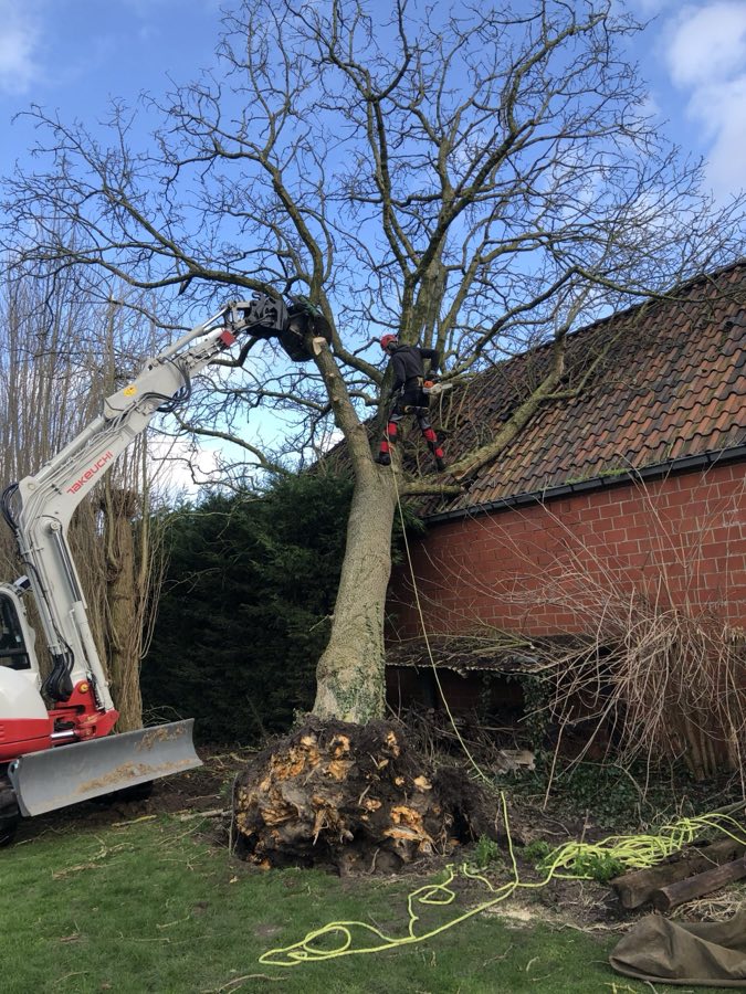stormschade boom opruimen