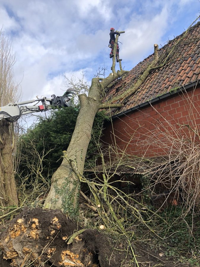 stormschade boom