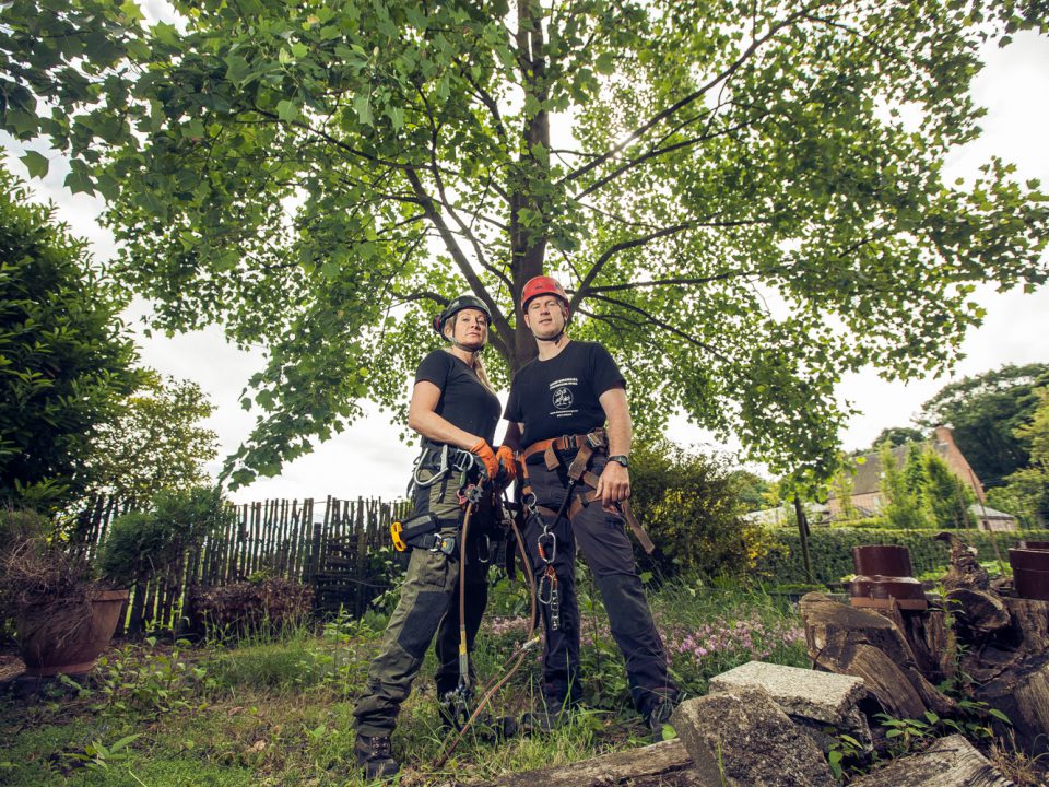 boomsnoeier oost-vlaanderen