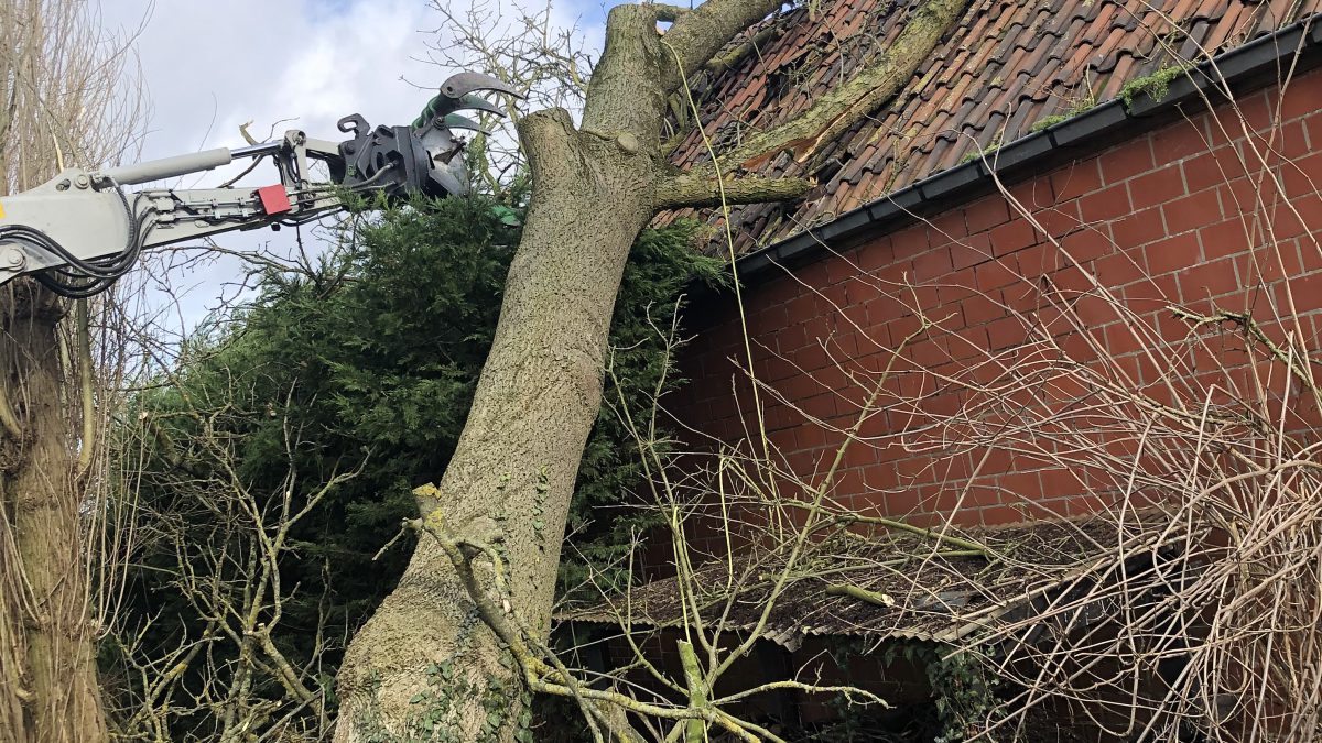 stormschade boom