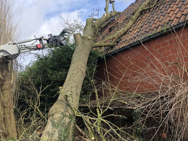 stormschade boom